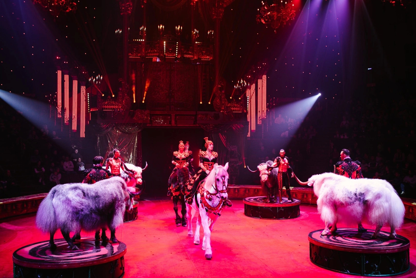 Королевский цирк